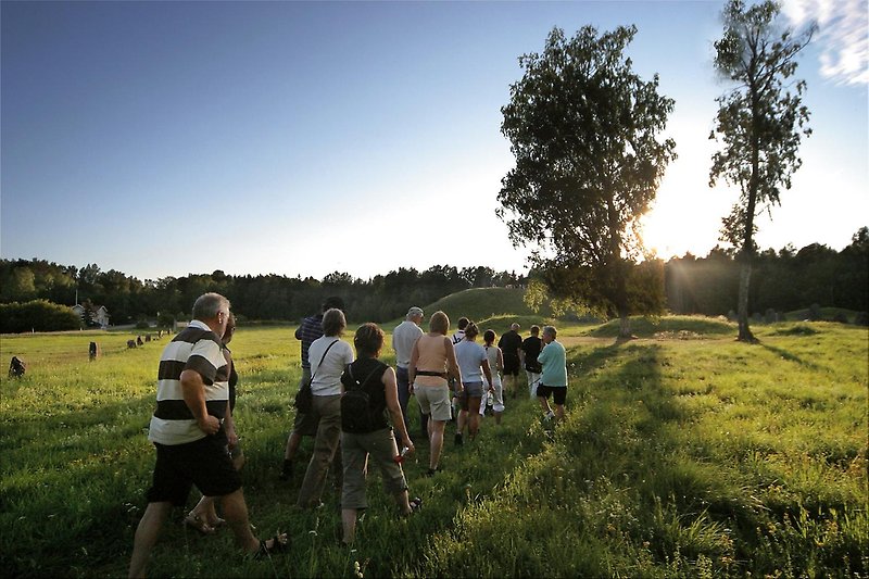 A group of visitors walking on a guided tour at Anundshög
