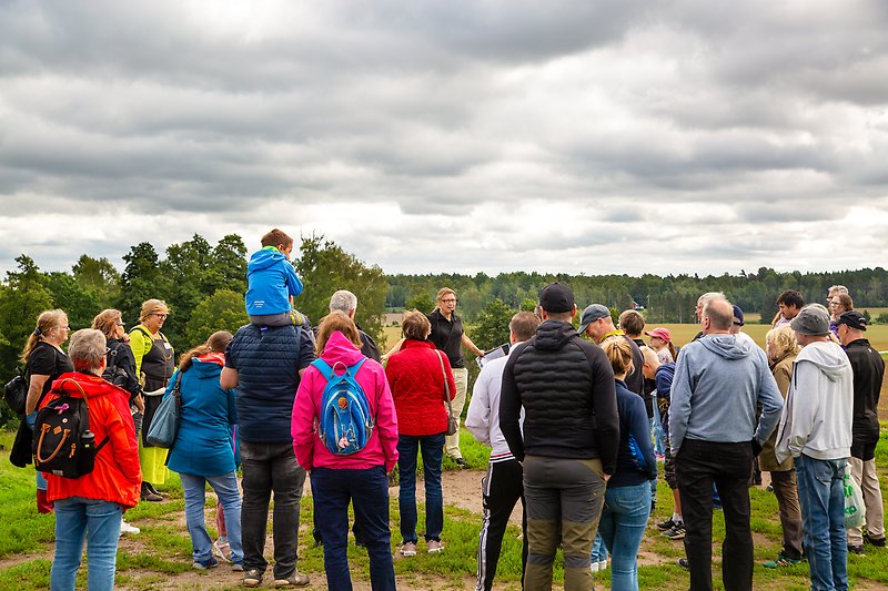 Besökare går på guidad tur på Anundshög. Foto: Bodil Wike